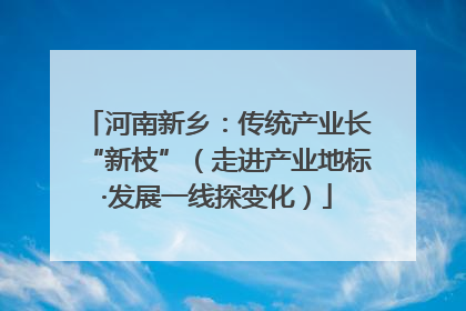 河南新乡：传统产业长“新枝”（走进产业地标·发展一线探变化）