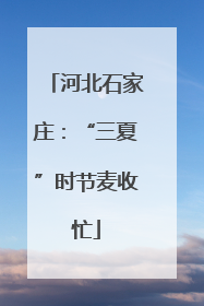 河北石家庄：“三夏”时节麦收忙