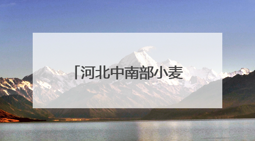 河北中南部小麦长势良好 积极应对干热风挑战