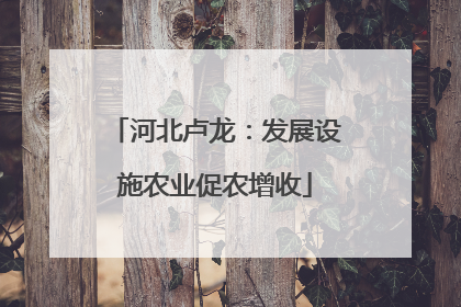 河北卢龙：发展设施农业促农增收