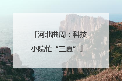 河北曲周：科技小院忙“三夏”