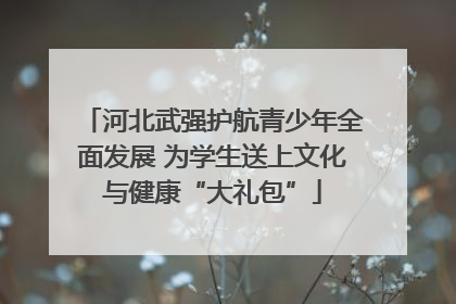 河北武强护航青少年全面发展 为学生送上文化与健康“大礼包”