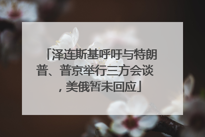 泽连斯基呼吁与特朗普、普京举行三方会谈，美俄暂未回应