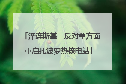 泽连斯基：反对单方面重启扎波罗热核电站