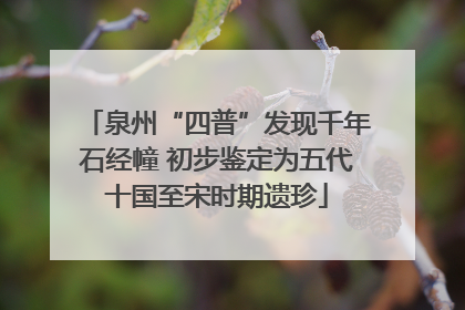 泉州“四普”发现千年石经幢 初步鉴定为五代十国至宋时期遗珍