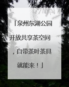 泉州东湖公园开放共享茶空间，自带茶叶茶具就能来！