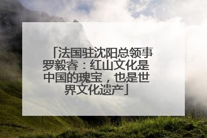 法国驻沈阳总领事罗毅睿：红山文化是中国的瑰宝，也是世界文化遗产