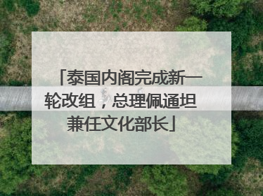 泰国内阁完成新一轮改组，总理佩通坦兼任文化部长