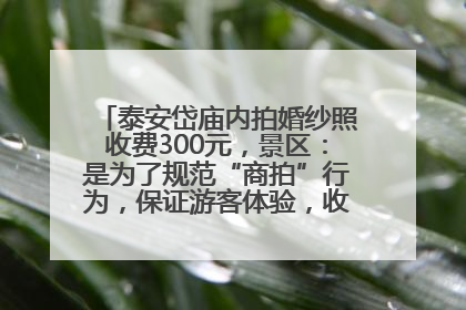 泰安岱庙内拍婚纱照收费300元，景区：是为了规范“商拍”行为，保证游客体验，收取费用全部上交国库