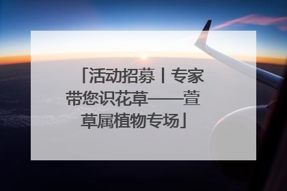活动招募丨专家带您识花草——萱草属植物专场