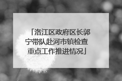 洛江区政府区长郭宁带队赴河市镇检查重点工作推进情况