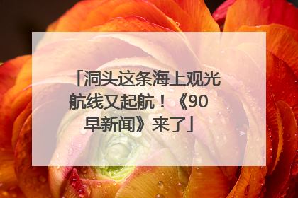 洞头这条海上观光航线又起航！《90早新闻》来了