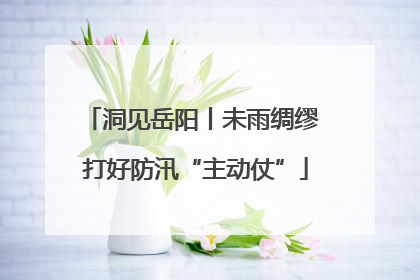 洞见岳阳丨未雨绸缪 打好防汛“主动仗”