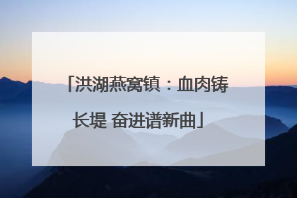 洪湖燕窝镇：血肉铸长堤 奋进谱新曲