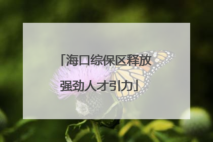 海口综保区释放强劲人才引力