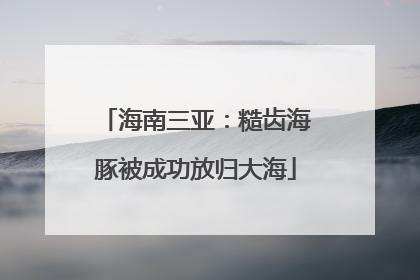 海南三亚：糙齿海豚被成功放归大海