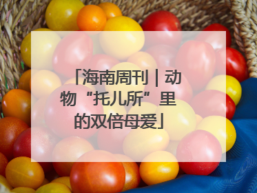 海南周刊｜动物“托儿所”里的双倍母爱