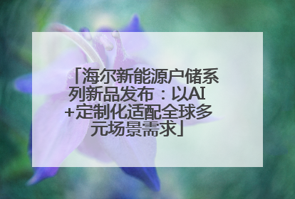 海尔新能源户储系列新品发布：以AI+定制化适配全球多元场景需求