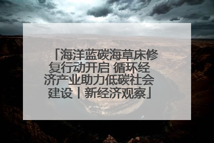 海洋蓝碳海草床修复行动开启 循环经济产业助力低碳社会建设丨新经济观察