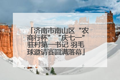 济南市南山区“农商行杯”“庆七一”驻村第一书记 羽毛球邀请赛圆满落幕