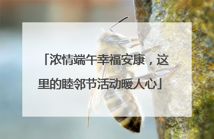 浓情端午幸福安康，这里的睦邻节活动暖人心