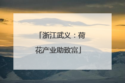浙江武义：荷花产业助致富