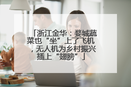 浙江金华：婺城蔬菜也“坐”上了飞机，无人机为乡村振兴插上“翅膀”