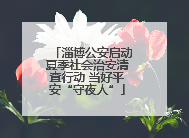 淄博公安启动夏季社会治安清查行动 当好平安“守夜人”