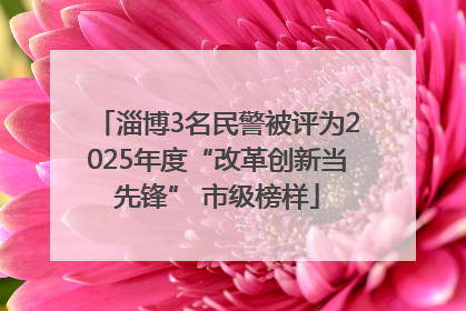 淄博3名民警被评为2025年度“改革创新当先锋” 市级榜样