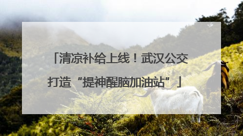 清凉补给上线！武汉公交打造“提神醒脑加油站”