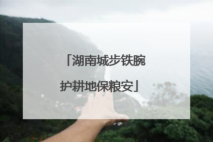 湖南城步铁腕护耕地保粮安