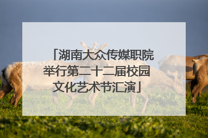湖南大众传媒职院举行第二十二届校园文化艺术节汇演