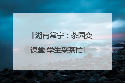 湖南常宁：茶园变课堂 学生采茶忙