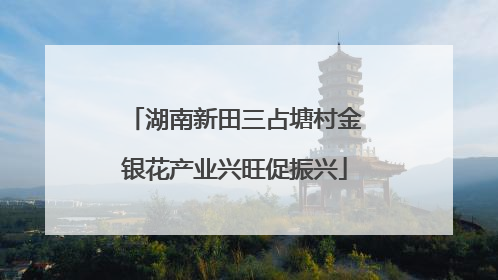 湖南新田三占塘村金银花产业兴旺促振兴