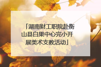 湖南财工职院赴衡山县白果中心完小开展美术支教活动