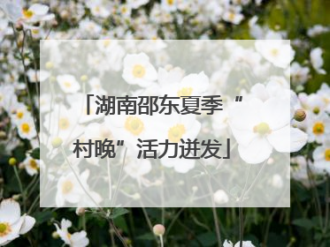 湖南邵东夏季“村晚”活力迸发