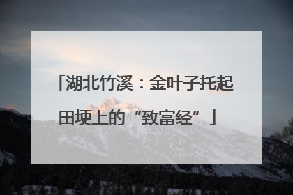 湖北竹溪：金叶子托起田埂上的“致富经”