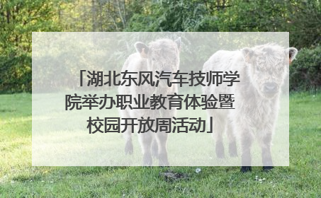湖北东风汽车技师学院举办职业教育体验暨校园开放周活动