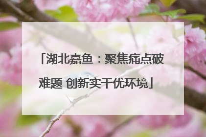 湖北嘉鱼：聚焦痛点破难题 创新实干优环境