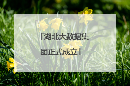 湖北大数据集团正式成立