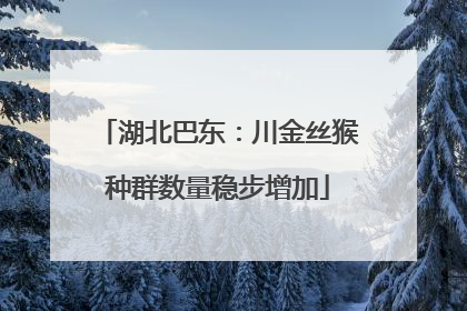 湖北巴东：川金丝猴种群数量稳步增加