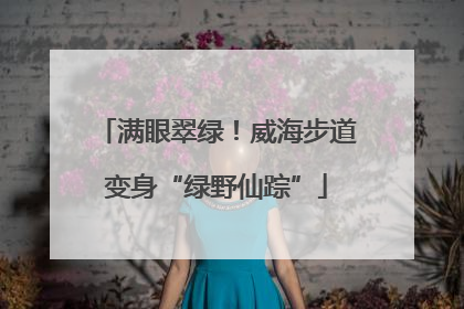 满眼翠绿！威海步道变身“绿野仙踪”