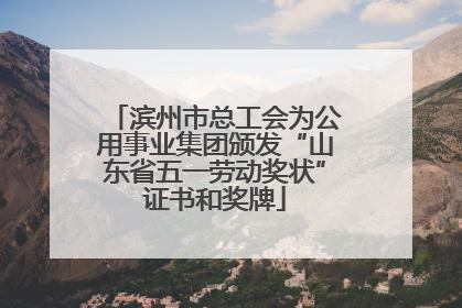 滨州市总工会为公用事业集团颁发“山东省五一劳动奖状”证书和奖牌