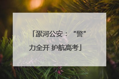 漯河公安：“警”力全开 护航高考