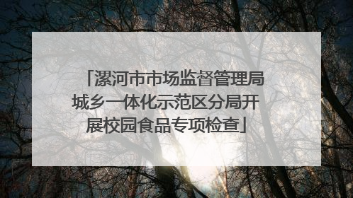 漯河市市场监督管理局城乡一体化示范区分局开展校园食品专项检查