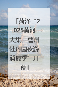 菏泽“2025黄河大集—曹州牡丹园夜游消夏季”开幕