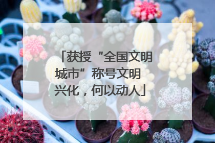 获授“全国文明城市”称号文明 兴化，何以动人