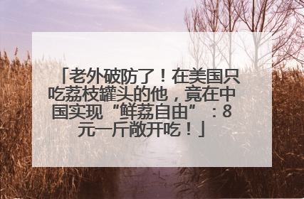 老外破防了！在美国只吃荔枝罐头的他，竟在中国实现“鲜荔自由”：8元一斤敞开吃！