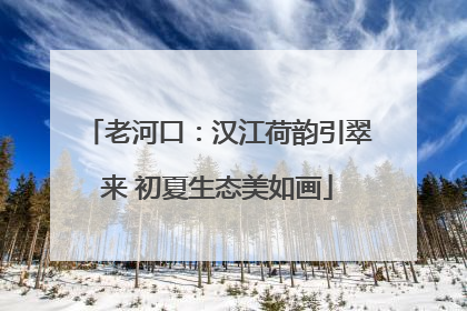 老河口：汉江荷韵引翠来 初夏生态美如画