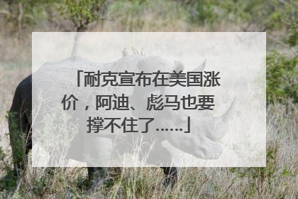 耐克宣布在美国涨价，阿迪、彪马也要撑不住了……